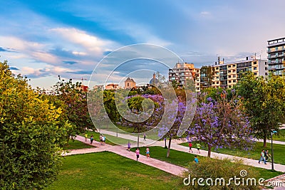 Flowering trees in the park of Turia in the pre-hours. Valencia, Spain Editorial Stock Photo