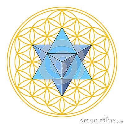 Flower of Life with Merkaba, star tetrahedron in the center of ancient symbol Vector Illustration