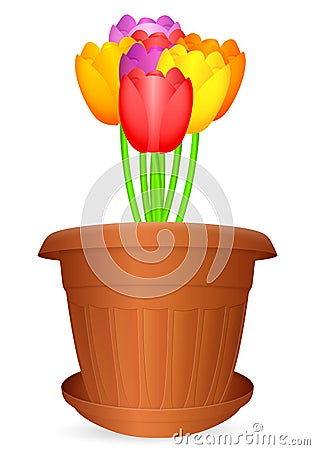 Flowerpot bouquet tulips Vector Illustration