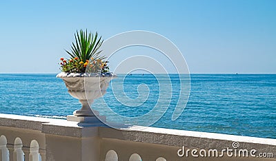 Flowerpot with flowers on the background of the sea Stock Photo