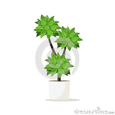 Flowerpot for home gardens, park and room decoration. Vector Illustration