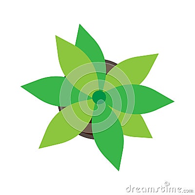 Flowerpot isolated white top view vector. Green houseplant growth flat icon flora Vector Illustration