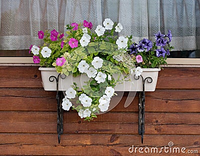 Flowerpot with petunia on the village window Stock Photo