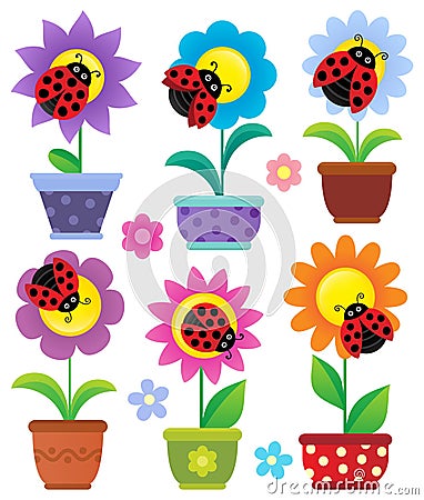 Flowerpots with flowers and ladybugs Vector Illustration