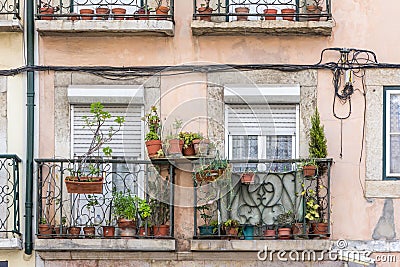 Flowerpots and house plants on a balcony Stock Photo