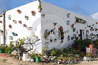 Flowerpots on the walls of Vejer De La Frontera, Spain Stock Photo