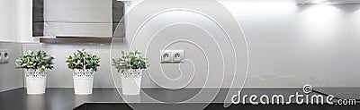 Flowerpots on the wooden worktop Stock Photo