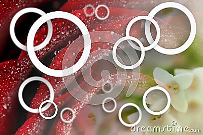 Flowers abstraction. Stereoscopic photo wallpaper for interior. 3D rendering. Stock Photo