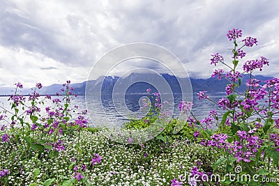 Flowers against mountains, Montreux. Switzerland Stock Photo