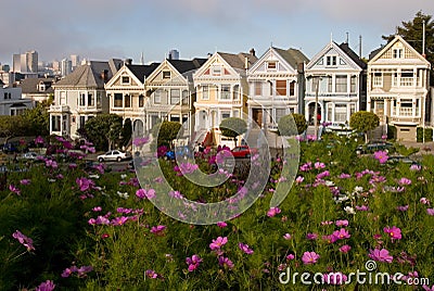 Flowers and Alamo Sq Stock Photo