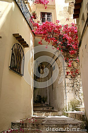 Flowers in alley Stock Photo