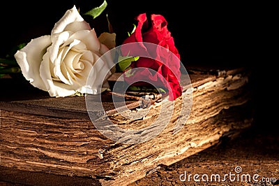 Flowers on antique book Stock Photo