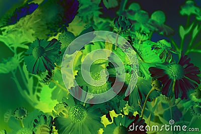 Flowers as a background tones to green duotone. Mystic esoteric forest theme Stock Photo