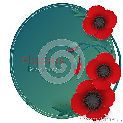 Flowers background with full blown and still blooming red poppies Vector Illustration