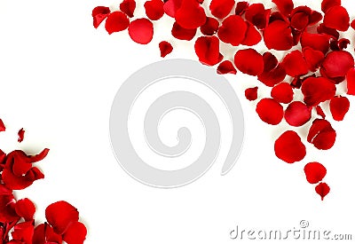 Flowers background. Red roses petals and red small hearts on white background Stock Photo
