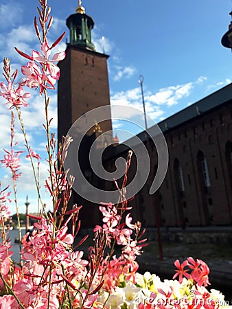 Flowers on the background of the Town Hall of Stockholm Stock Photo