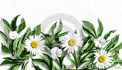 Flowers banner background. Fresh garden daisies on a light background, top view. Flat lay, copy space Stock Photo