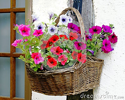 Flowers basket Stock Photo
