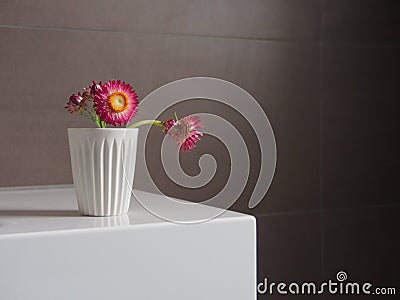 Flowers in bathroom Stock Photo
