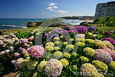 Flowers From Biarritz Stock Photo