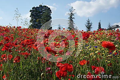 Flowers at the Biblioteca degli Alberi, Milan, Italy Stock Photo