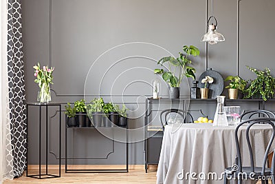 Flowers on black table next to plants in grey dining room interior with chairs and lamp. Real photo Stock Photo