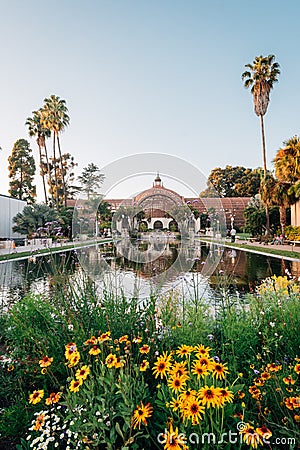 Flowers, the Botanical Building, and the Lily Pond at Balboa Park, in San Diego, California Editorial Stock Photo