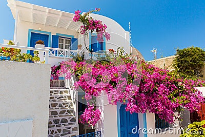 Flowers bougainvillea in Fira town - Santorini ,Crete,Greece. Stock Photo