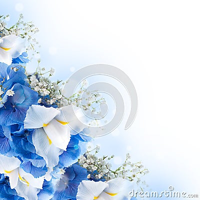 Flowers in a bouquet, blue hydrangeas Stock Photo