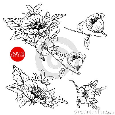 Flowers on branch. Stock line vector illustration botanic flower Vector Illustration