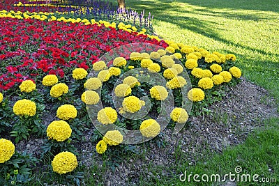 Flowers in Bundek park, Zagreb, Croatia Stock Photo