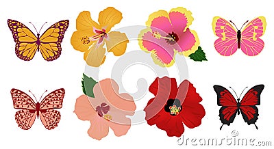 Flowers and Butterflies Vector Illustration