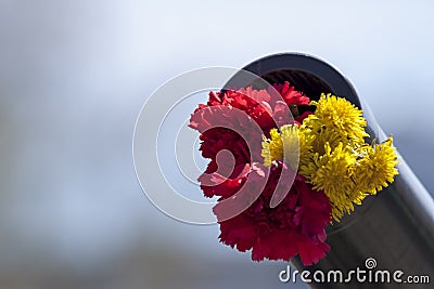 Flowers in a cannon Stock Photo