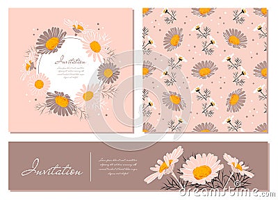 Flowers cards set Chamomile background Daisy wreath. Flowers and leaves of daisies on a gentle pink background. Vector Vector Illustration