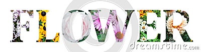 Flowers collage sign made of real floral photos. Botanical font. Stock Photo