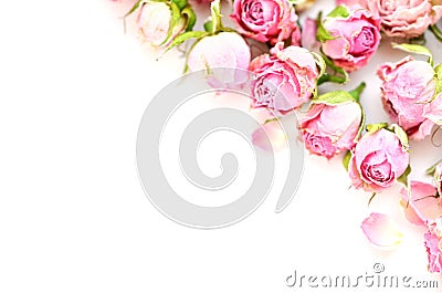 Flowers composition. Frame made of dried rose flowers on white background. Stock Photo