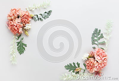 Flowers composition made of coral carnation and silver-green leaves of Senecio cineraria on pastel grey background. Nature concept Stock Photo