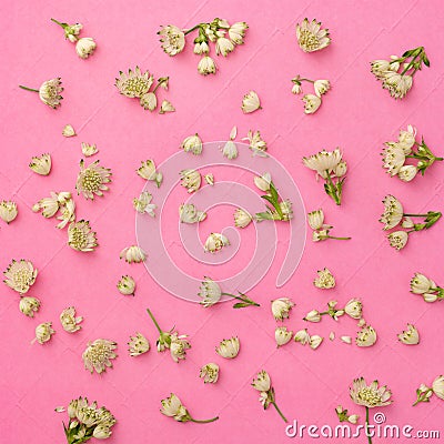 Flowers composition. Pattern made of various colorful flowers on the pink background with copy space Stock Photo