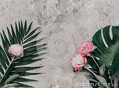 Flowers composition. Pink peony with monstera leaf. Stock Photo