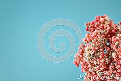 Flowers of coral color on a blue background. Stock Photo