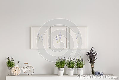 Flowers on cupboard against white wall with posters in minimal living room interior. Real photo Stock Photo