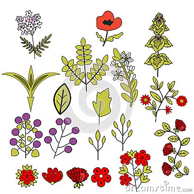 Flowers decorative set Vector Illustration
