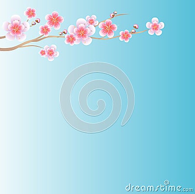 Flowers design. Branch of Sakura on light blue gradient background. Apple-tree flowers. Cherry blossom. Vector Vector Illustration