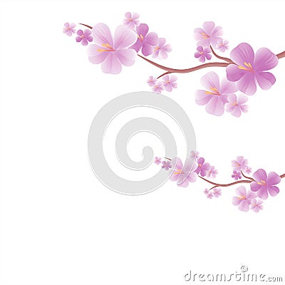Flowers design. Branches of Sakura isolated on white background. Apple-tree flowers. Cherry blossom. Vector EPS 10 cmyk Vector Illustration