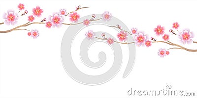 Flowers design. Branches of Sakura isolated on white background. Apple-tree flowers. Cherry blossom. Vector EPS 10 cmyk Vector Illustration