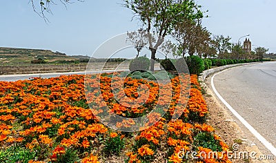 Flowers arrangement and roundabouts in Malta. Stock Photo