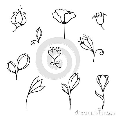 Flowers doodle set Vector Illustration