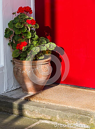 Flower Pot and Welcome Mat on Doorstep Stock Photo