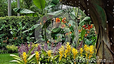 Flowers Through the Droplets Editorial Stock Photo