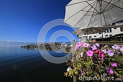 Flowers on the Erhai lake of yunnan Stock Photo